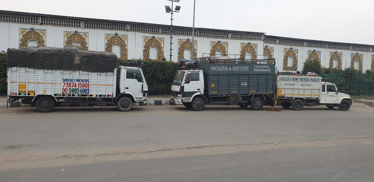 Speedex Packers and Movers